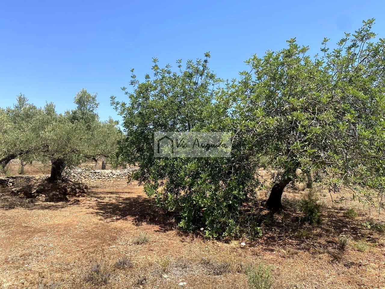 Grunde uden byggetilladelser til salg i El Perello - € 28.000 (Ref: 9141006)