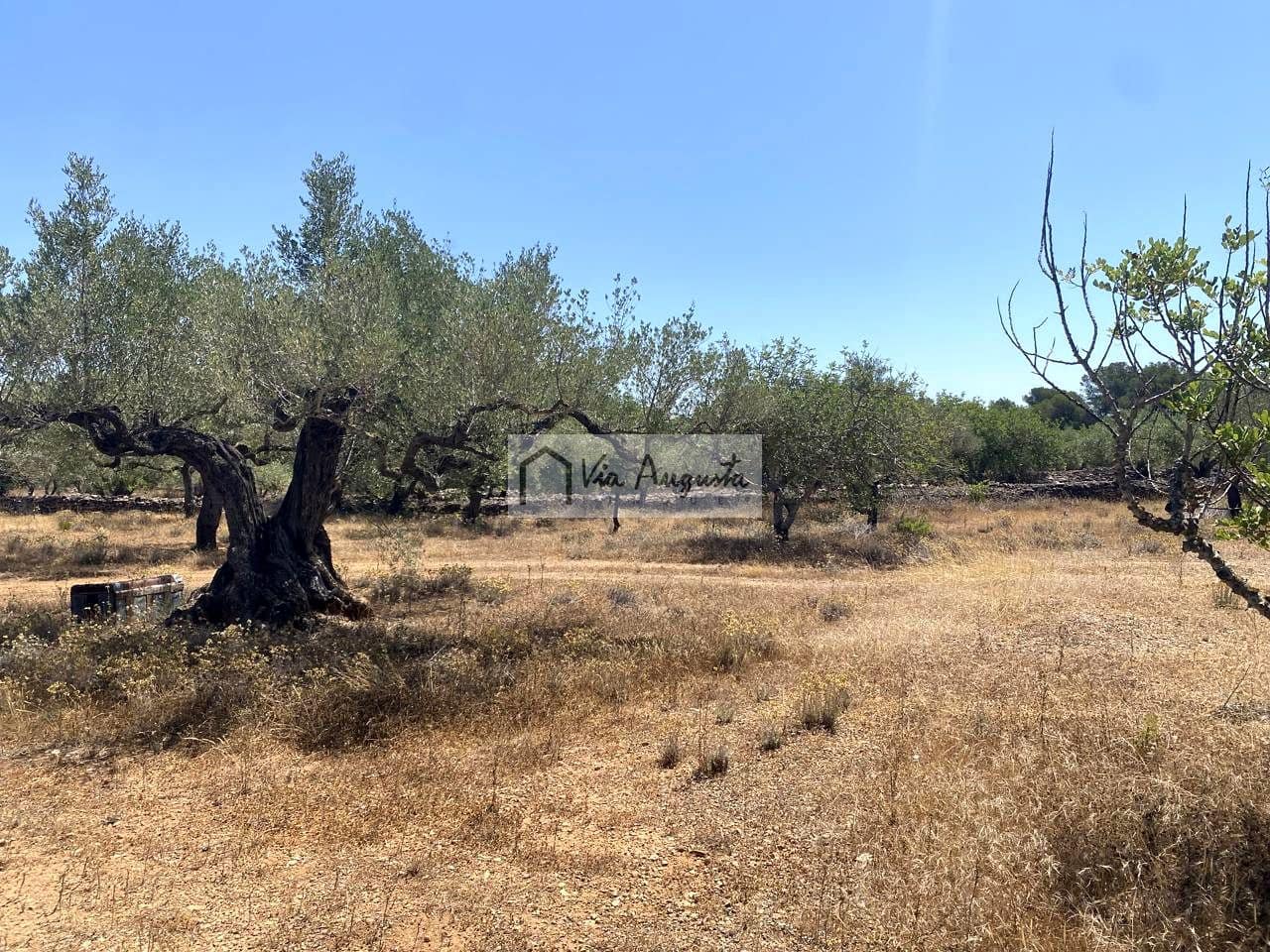 Grunde uden byggetilladelser til salg i El Perello - € 28.000 (Ref: 9141006)