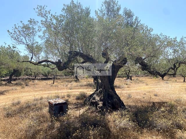 Grond te koop in El Perelló - € 28.000 (Ref: 9141006)