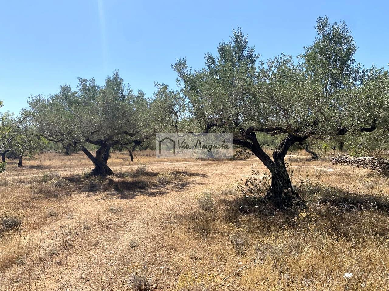 Grunde uden byggetilladelser til salg i El Perello - € 28.000 (Ref: 9141006)