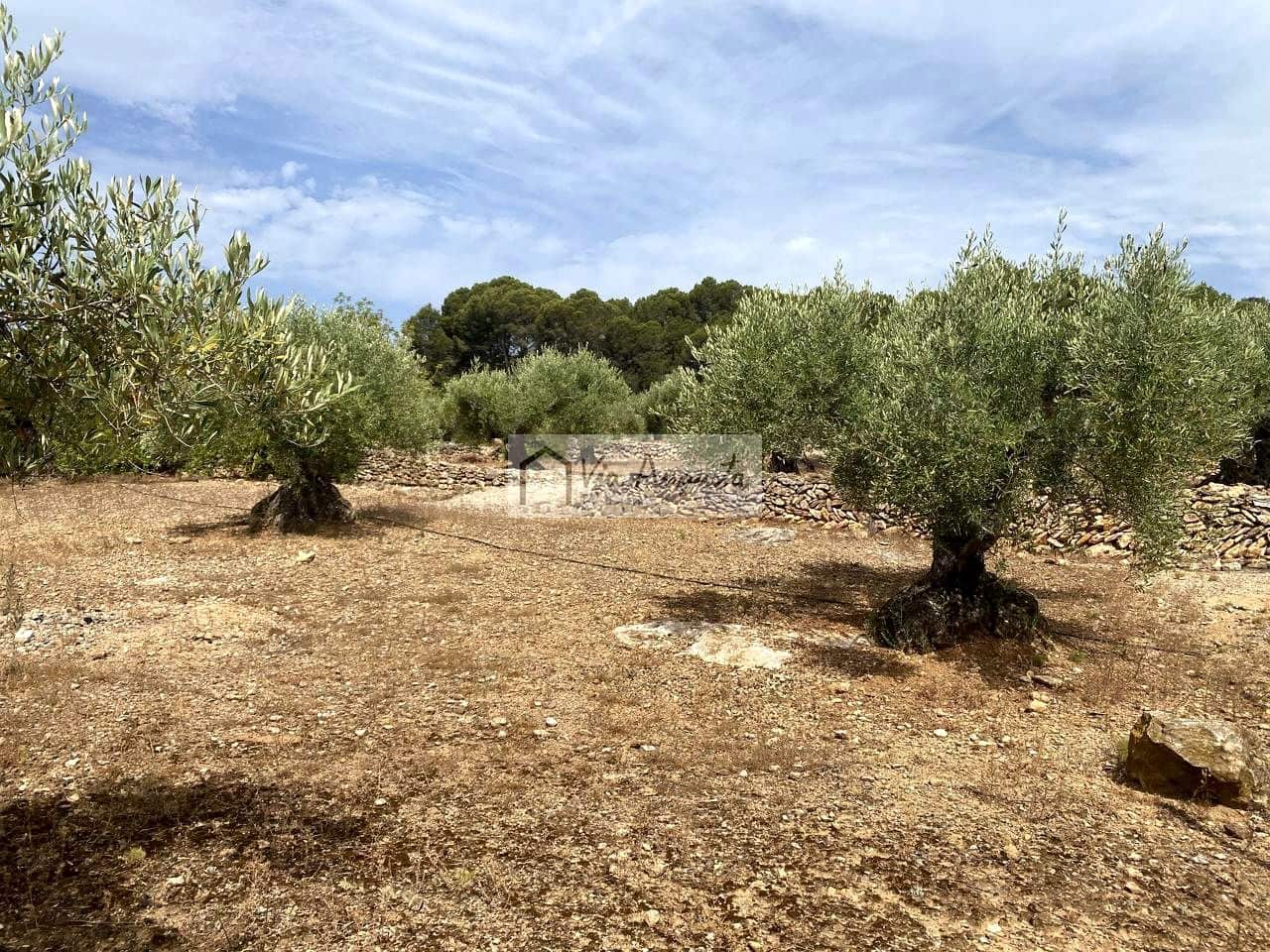 5 sovrum Finca/Hus på landet till salu i Vandellos i l'Hospitalet de l'Infant med pool - 300 000 € (Ref: 9141007)