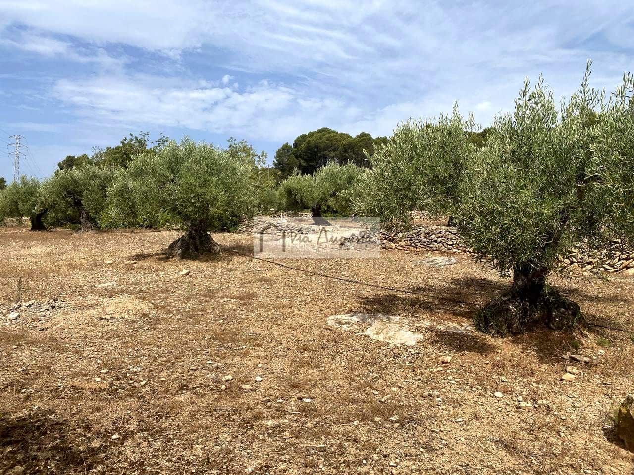 5 sovrum Finca/Hus på landet till salu i Vandellos i l'Hospitalet de l'Infant med pool - 300 000 € (Ref: 9141007)