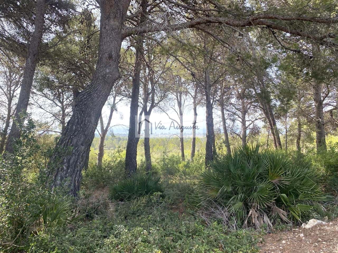 5 sovrum Finca/Hus på landet till salu i Vandellos i l'Hospitalet de l'Infant med pool - 300 000 € (Ref: 9141007)