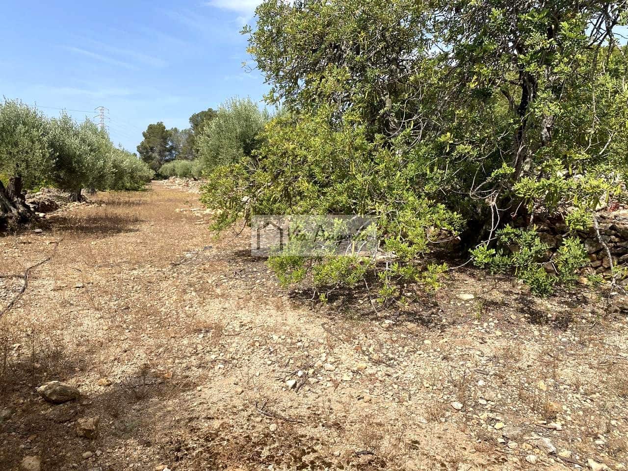 5 sovrum Finca/Hus på landet till salu i Vandellos i l'Hospitalet de l'Infant med pool - 300 000 € (Ref: 9141007)