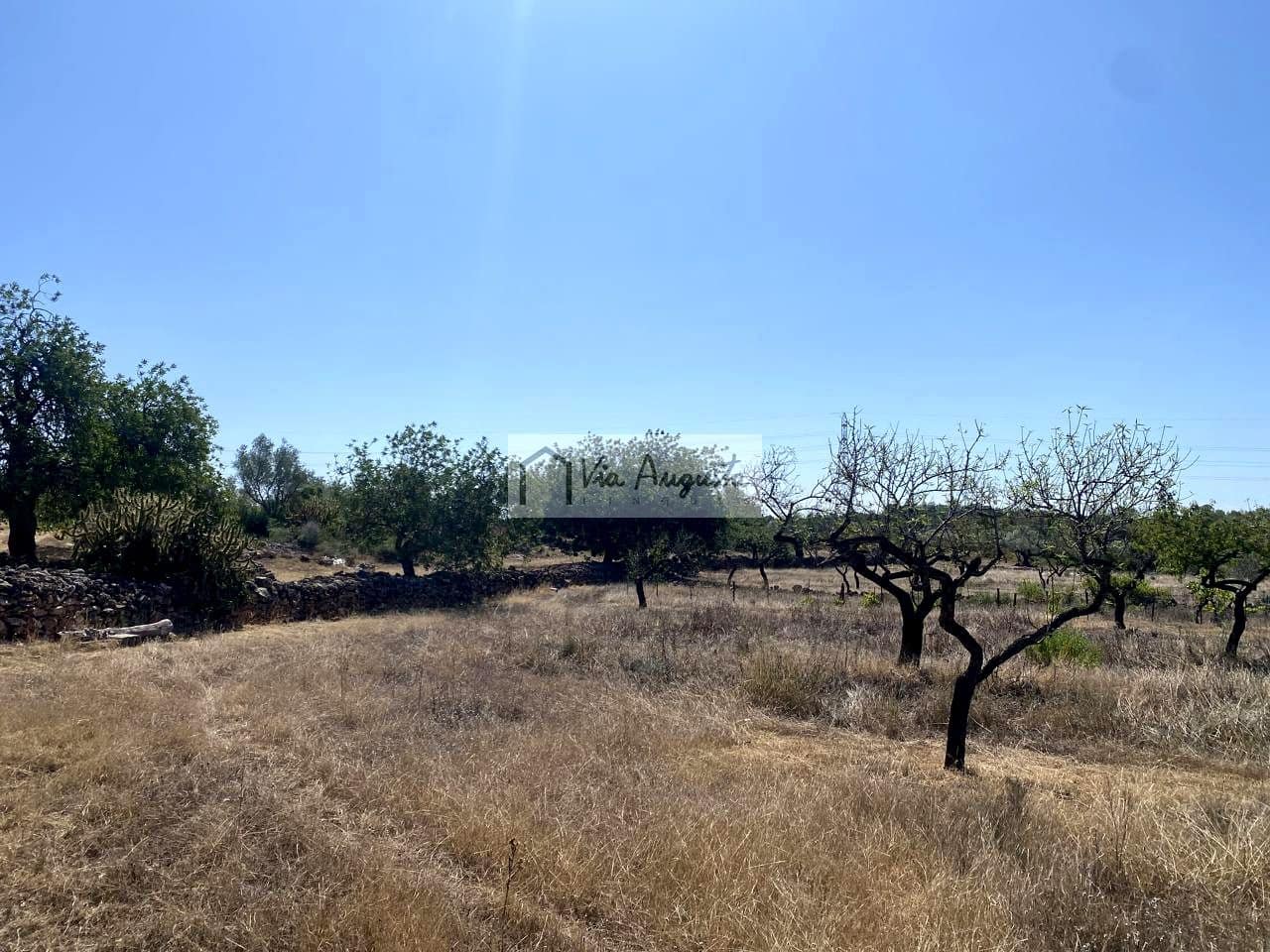 Terre non Aménagée à vendre à El Perello - 130 000 € (Ref: 9142236)