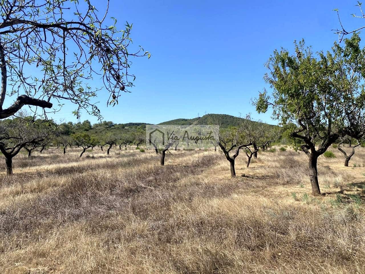 Terre non Aménagée à vendre à El Perello - 130 000 € (Ref: 9142236)