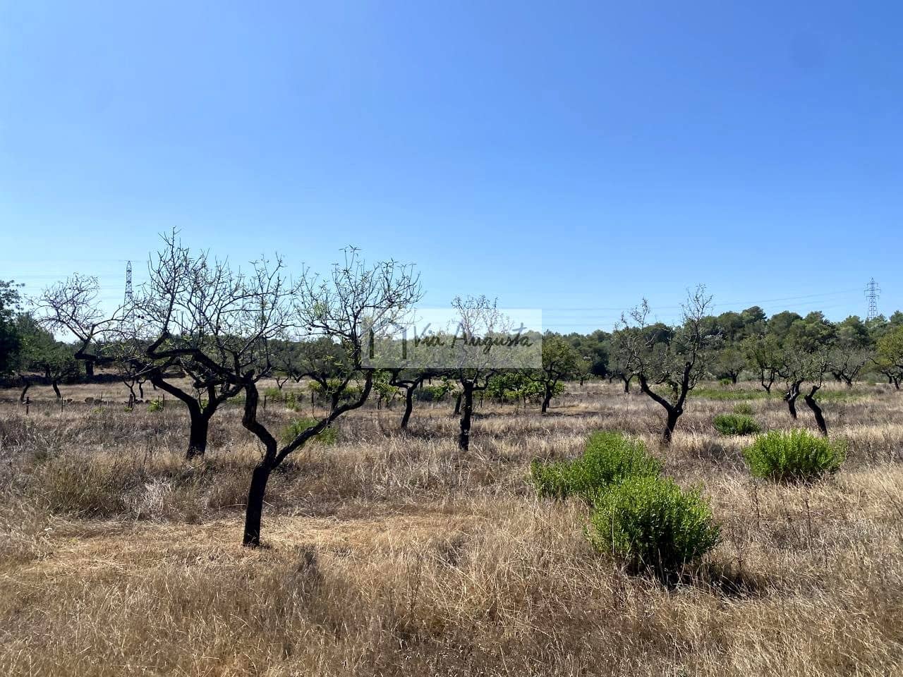 Terre non Aménagée à vendre à El Perello - 130 000 € (Ref: 9142236)