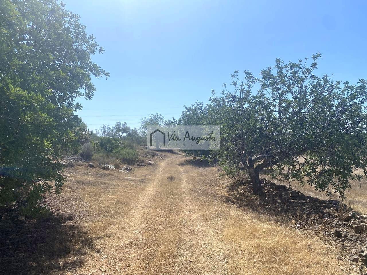 Terre non Aménagée à vendre à El Perello - 130 000 € (Ref: 9142236)