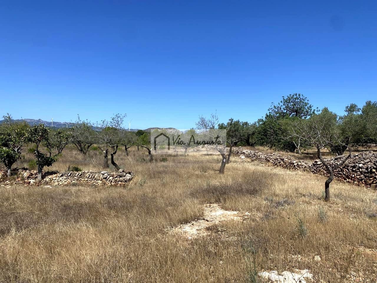 Terre non Aménagée à vendre à El Perello - 130 000 € (Ref: 9142236)