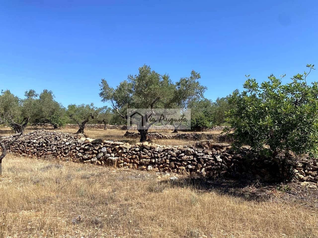 Terre non Aménagée à vendre à El Perello - 130 000 € (Ref: 9142236)