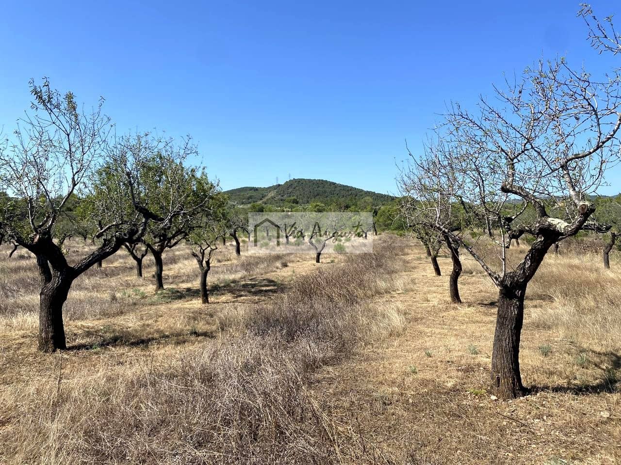 Terre non Aménagée à vendre à El Perello - 130 000 € (Ref: 9142236)