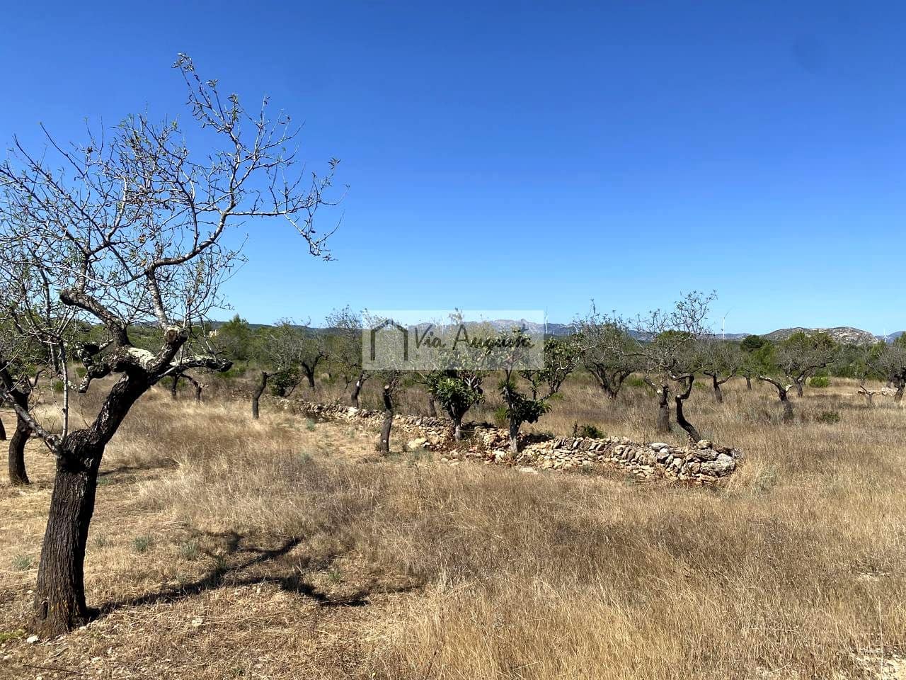 Terre non Aménagée à vendre à El Perello - 130 000 € (Ref: 9142236)