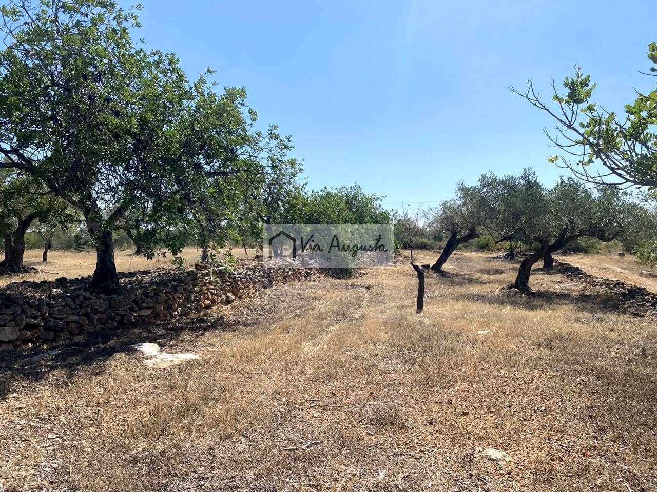 Terre non Aménagée à vendre à El Perello - 130 000 € (Ref: 9142236)