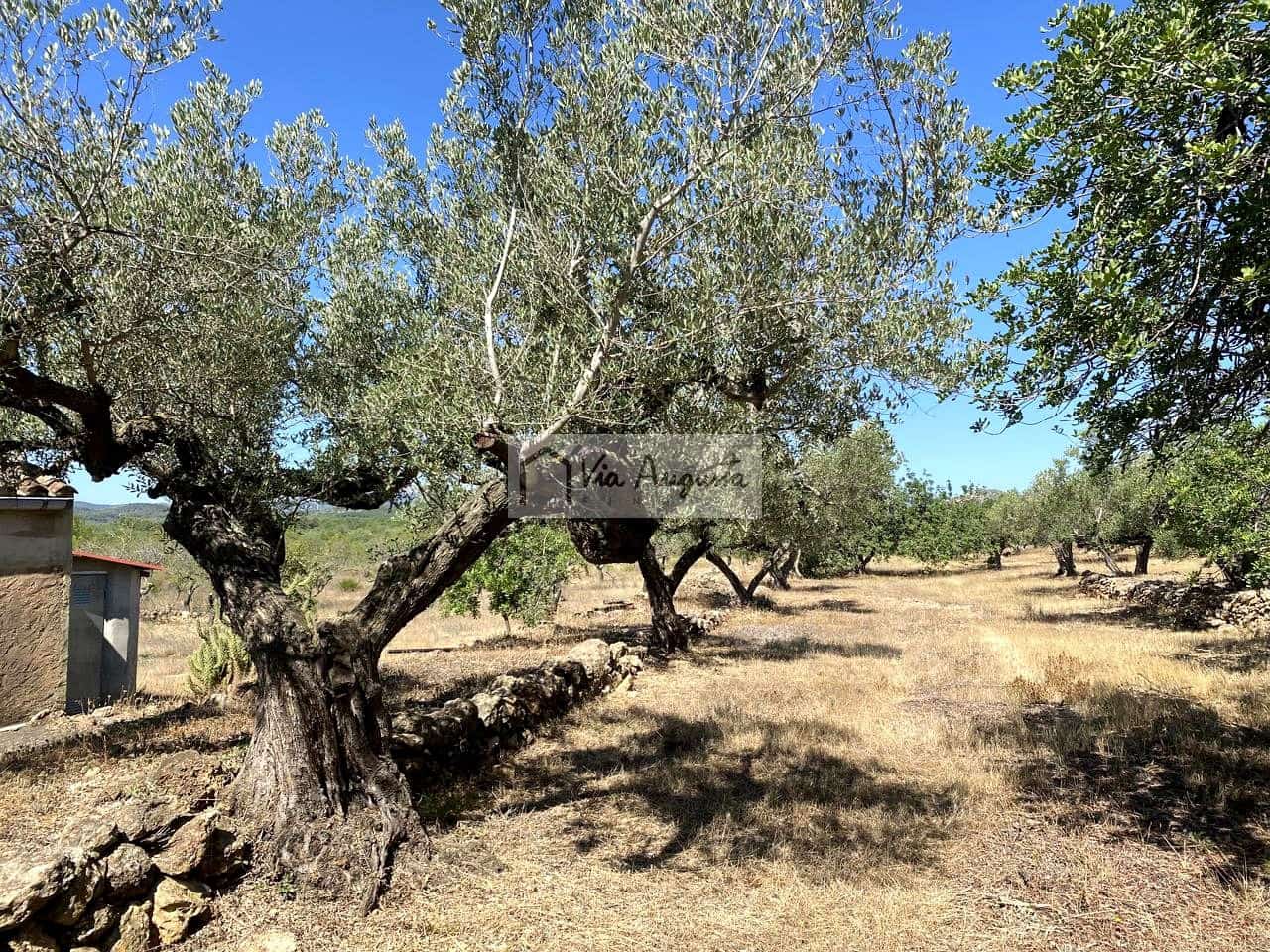 Terre non Aménagée à vendre à El Perello - 130 000 € (Ref: 9142236)