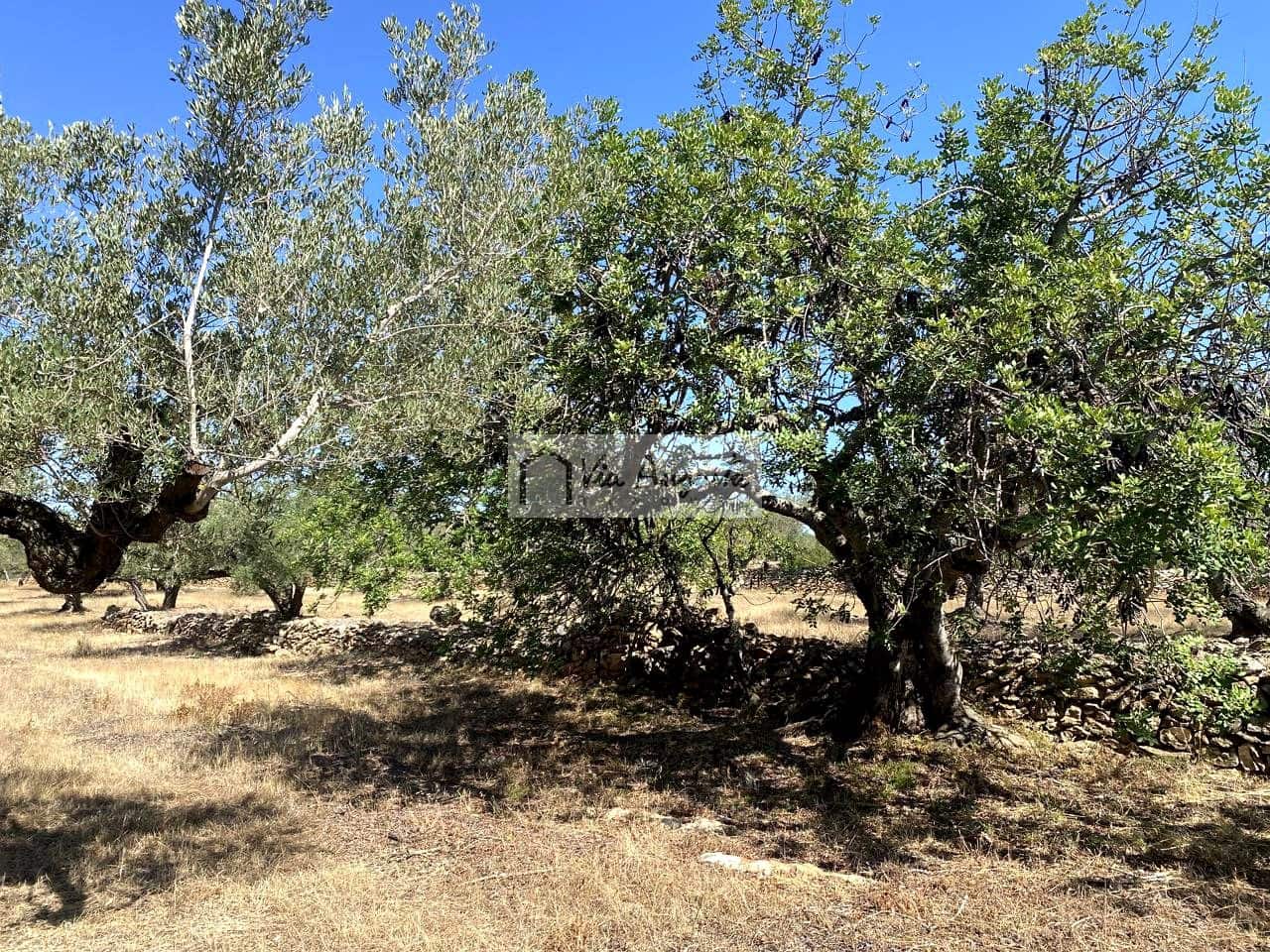 Terre non Aménagée à vendre à El Perello - 130 000 € (Ref: 9142236)