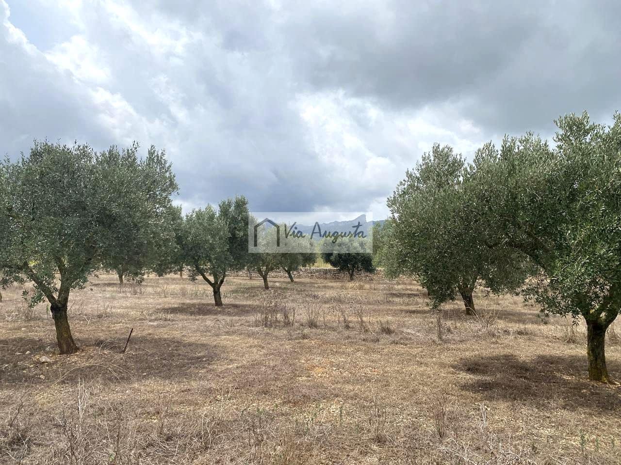 Terre non Aménagée à vendre à El Perello - 220 000 € (Ref: 9142237)