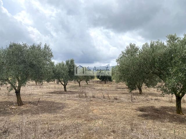 Terre non Aménagée à vendre à El Perelló - 220 000 € (Ref: 9142237)