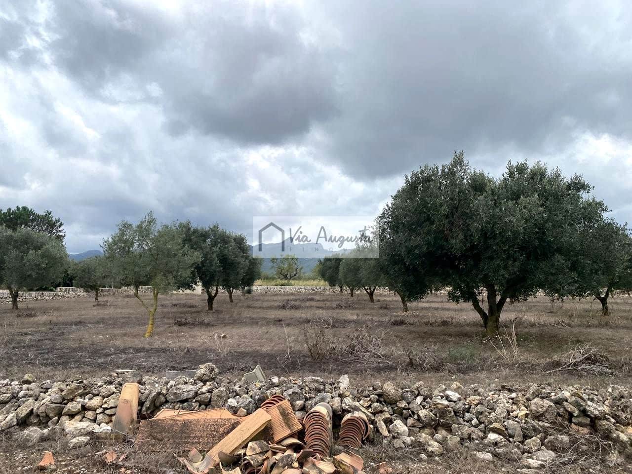 Terre non Aménagée à vendre à El Perello - 220 000 € (Ref: 9142237)