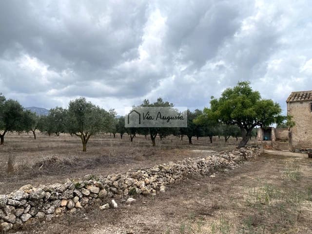 Terre non Aménagée à vendre à El Perelló - 220 000 € (Ref: 9142237)