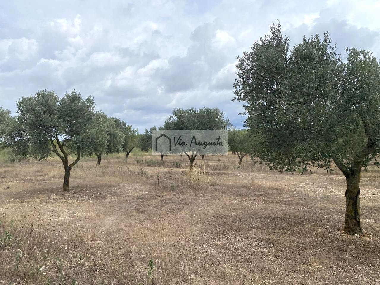 Terre non Aménagée à vendre à El Perello - 220 000 € (Ref: 9142237)