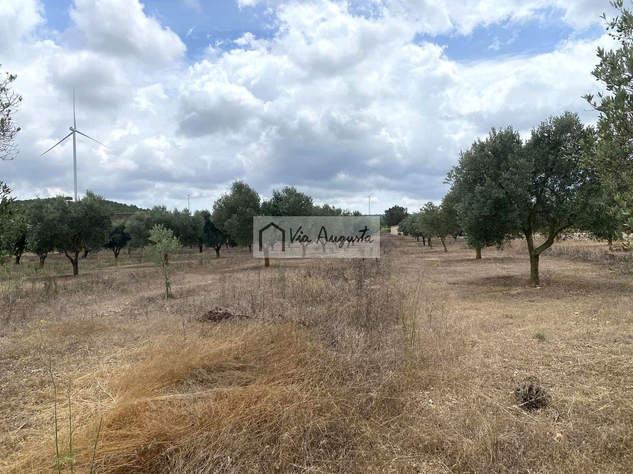 Terre non Aménagée à vendre à El Perello - 220 000 € (Ref: 9142237)