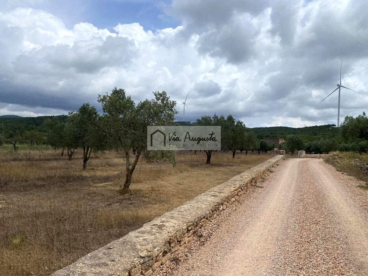 Terre non Aménagée à vendre à El Perello - 220 000 € (Ref: 9142237)