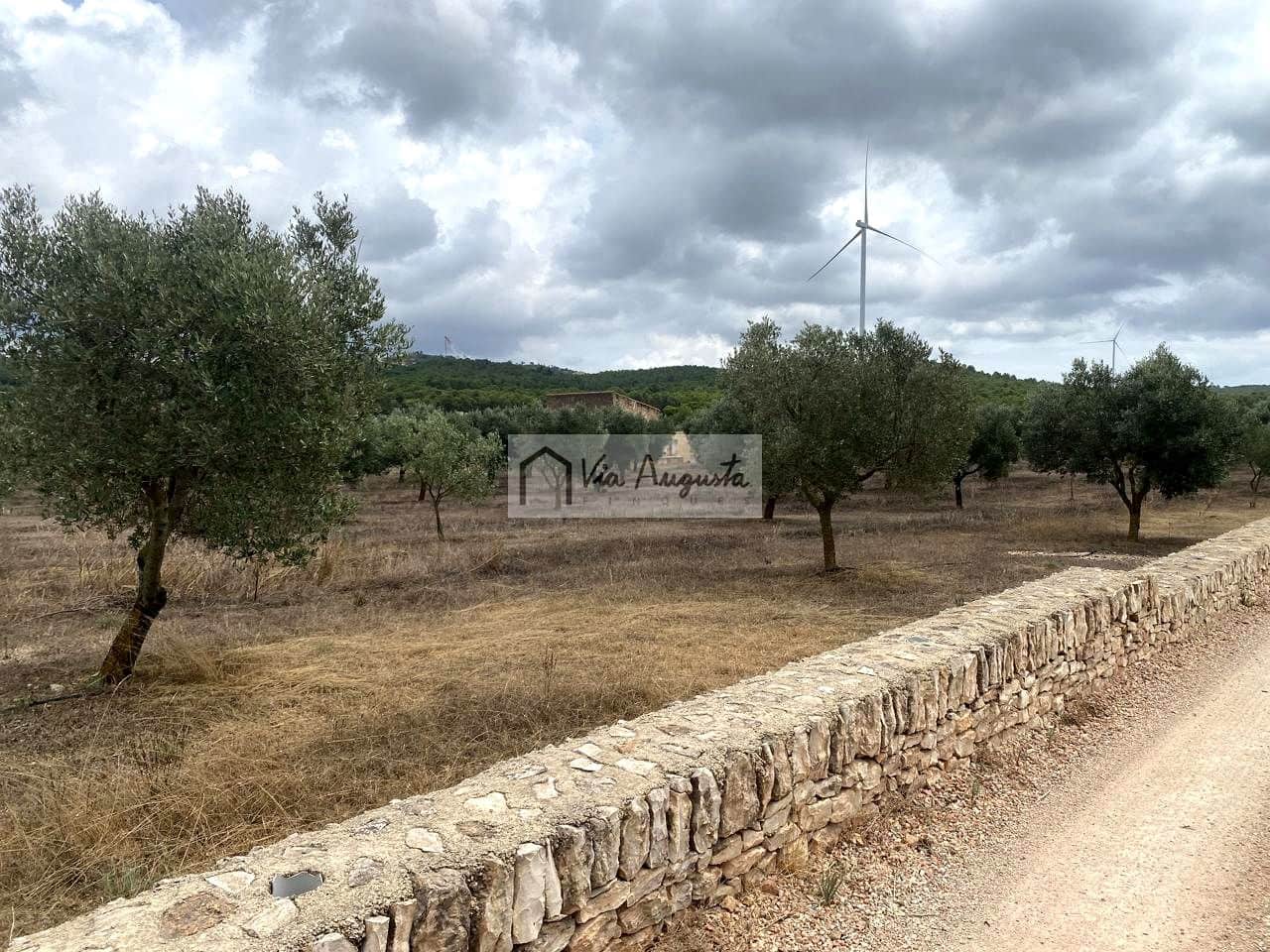 Terre non Aménagée à vendre à El Perello - 220 000 € (Ref: 9142237)