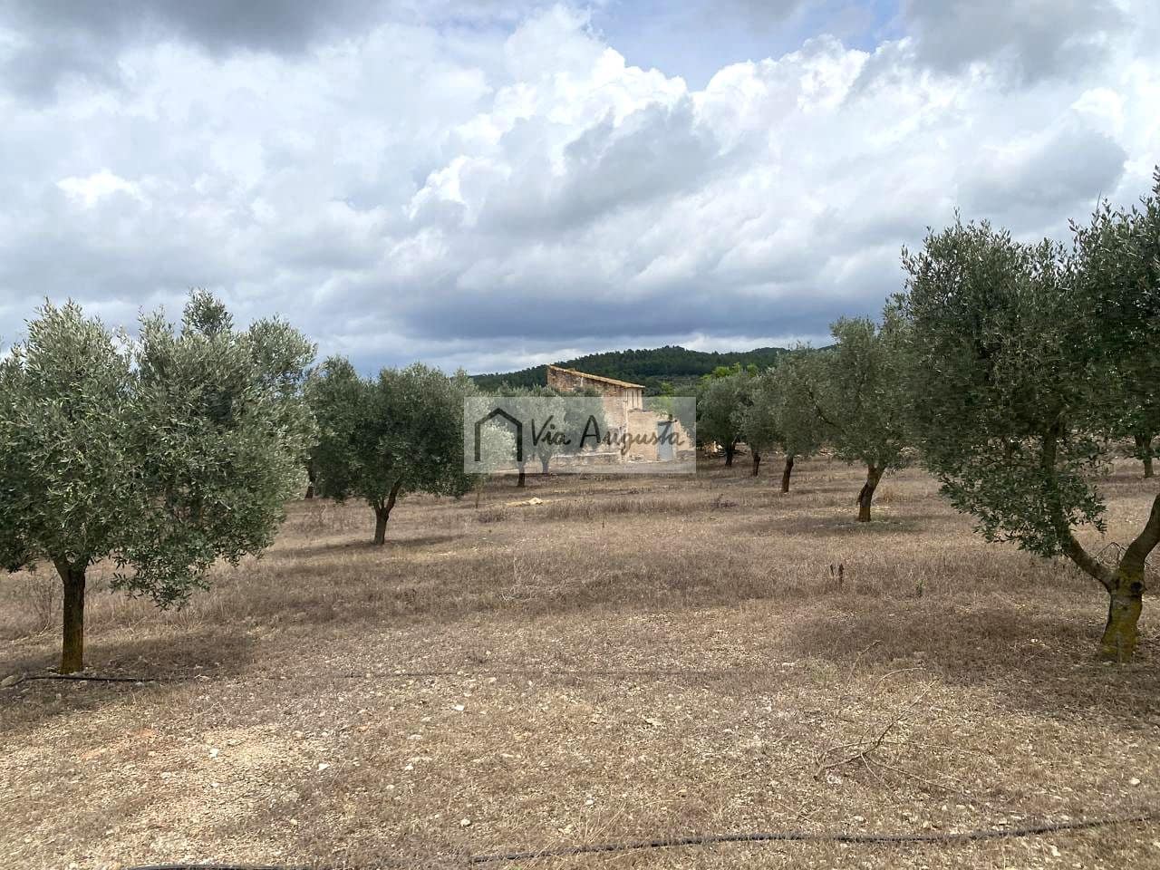 Terre non Aménagée à vendre à El Perello - 220 000 € (Ref: 9142237)