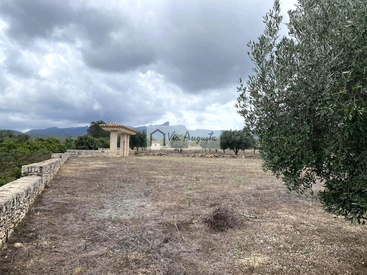 Terre non Aménagée à vendre à El Perello - 220 000 € (Ref: 9142237)