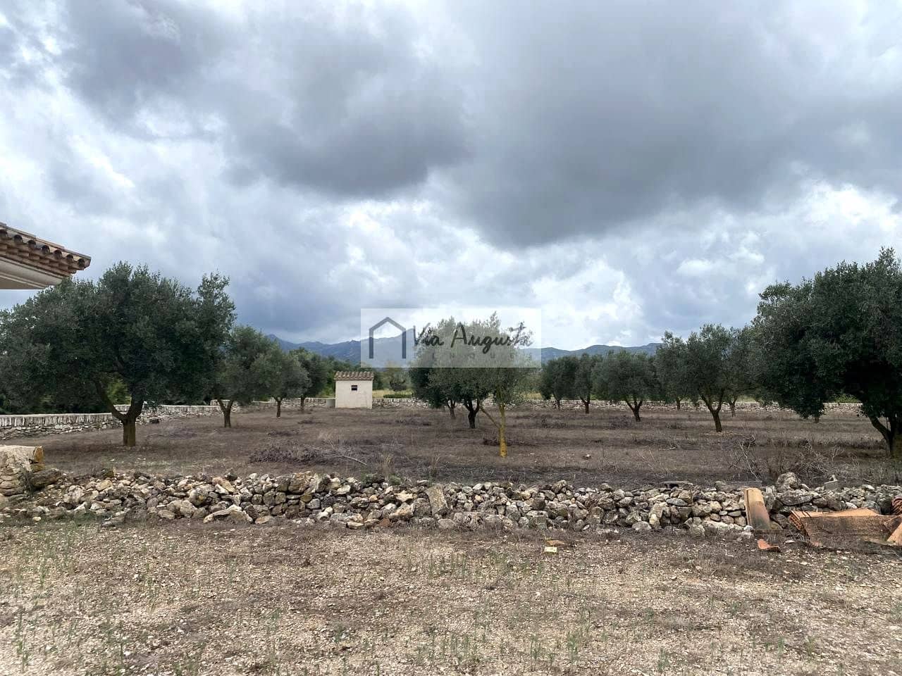 Terre non Aménagée à vendre à El Perello - 220 000 € (Ref: 9142237)