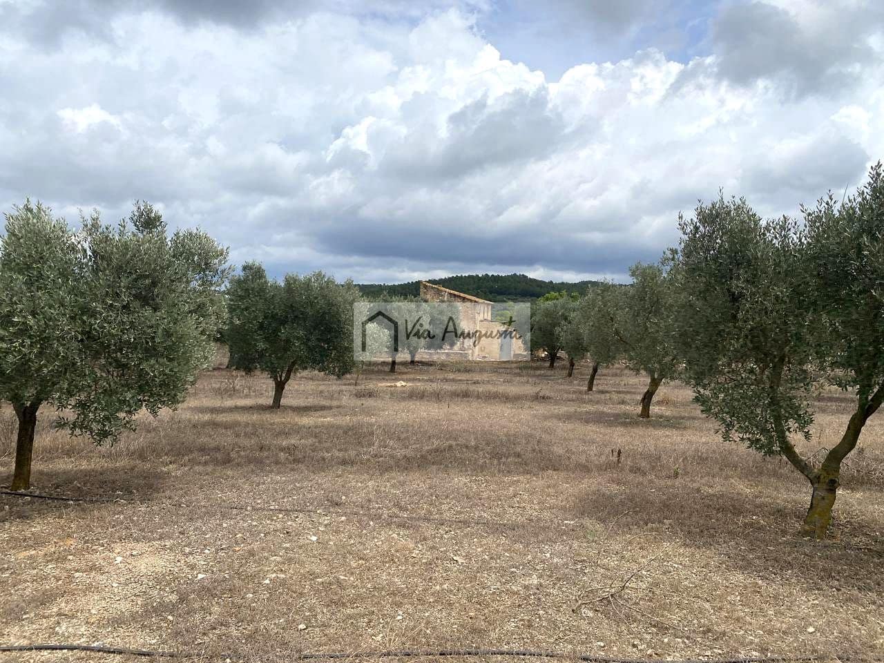 Terre non Aménagée à vendre à El Perello - 220 000 € (Ref: 9142237)