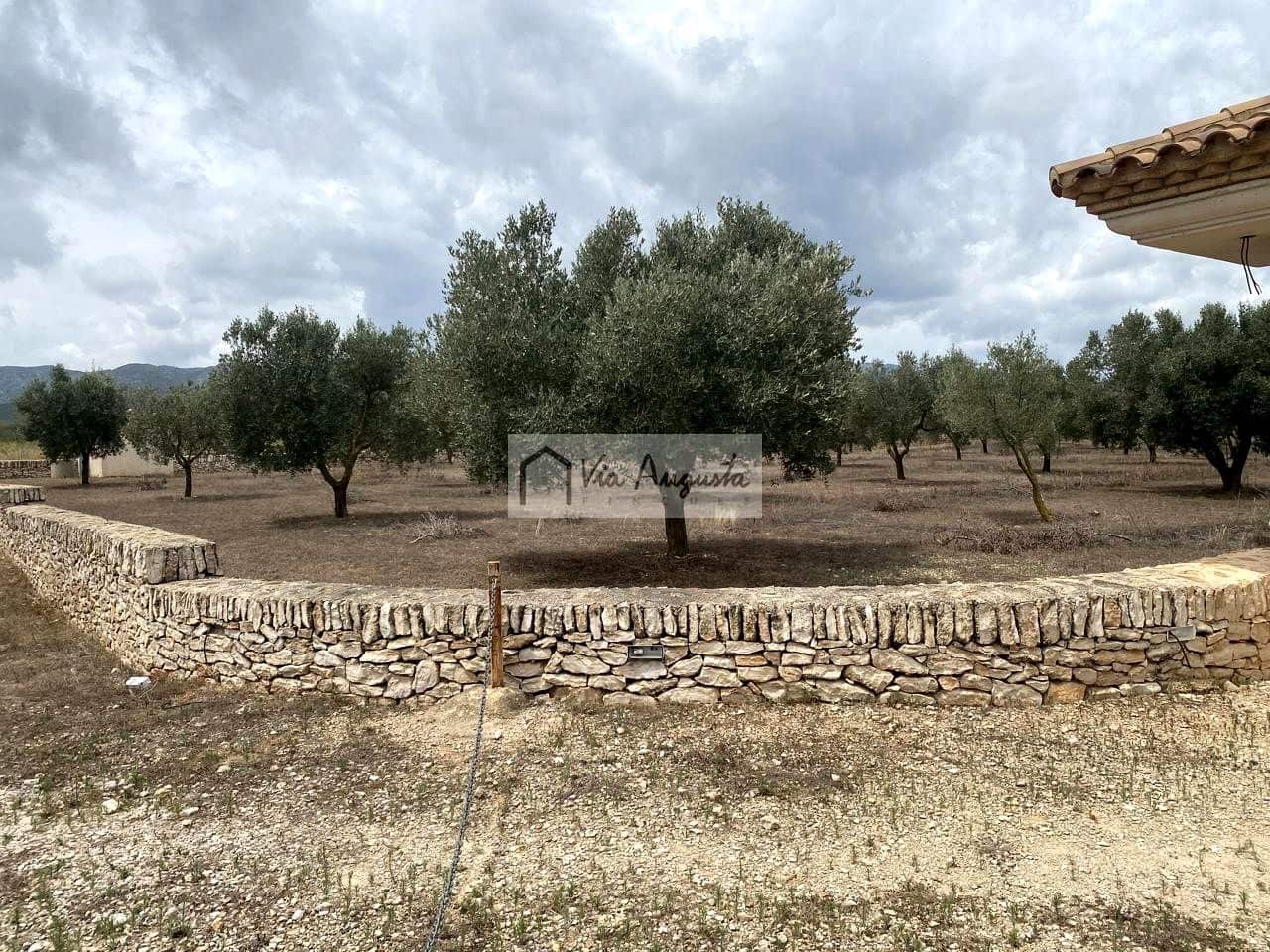 Terre non Aménagée à vendre à El Perello - 220 000 € (Ref: 9142237)