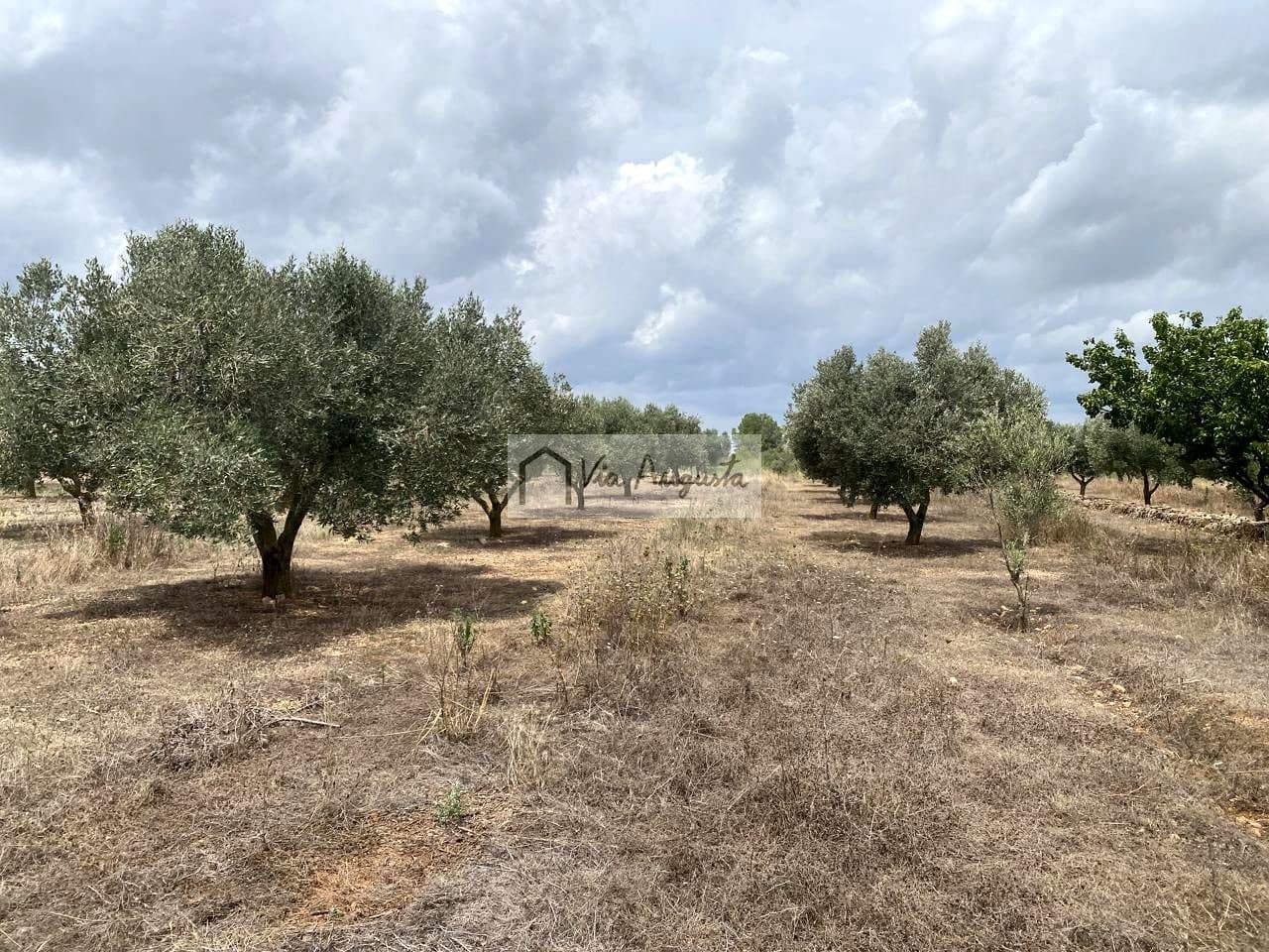 Terre non Aménagée à vendre à El Perello - 220 000 € (Ref: 9142237)