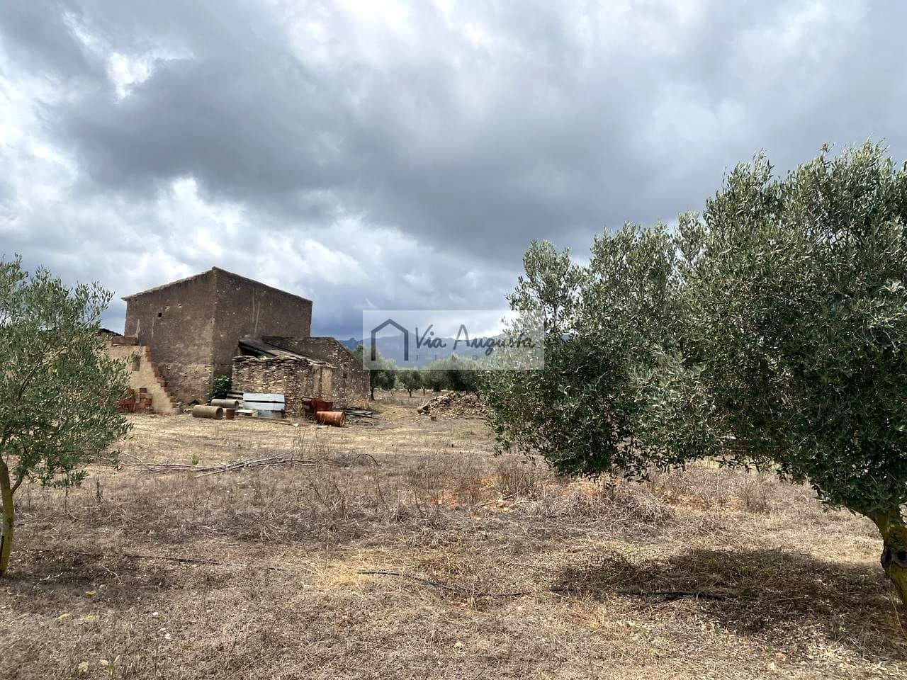 Terre non Aménagée à vendre à El Perello - 220 000 € (Ref: 9142237)