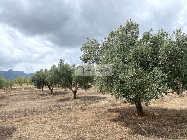 Terre non Aménagée à vendre à El Perelló - 220 000 € (Ref: 9142237)