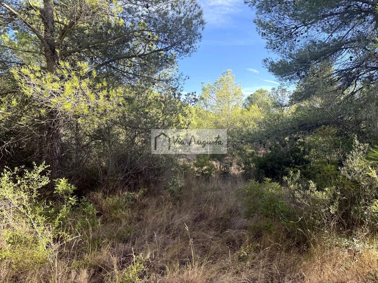 Mark till salu i El Perello - 65 000 € (Ref: 9268944)