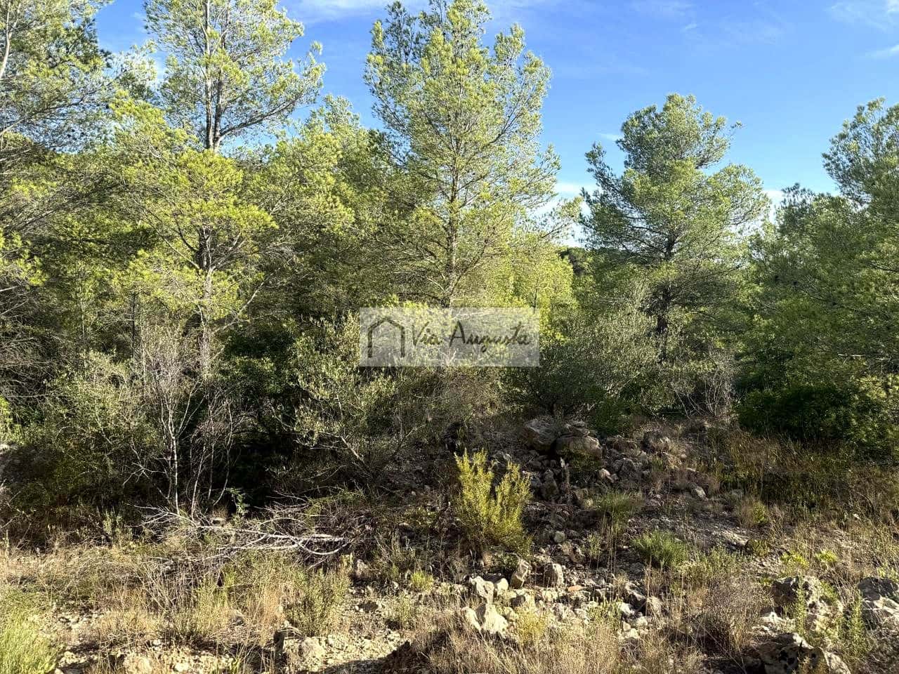 Mark till salu i El Perello - 65 000 € (Ref: 9268944)