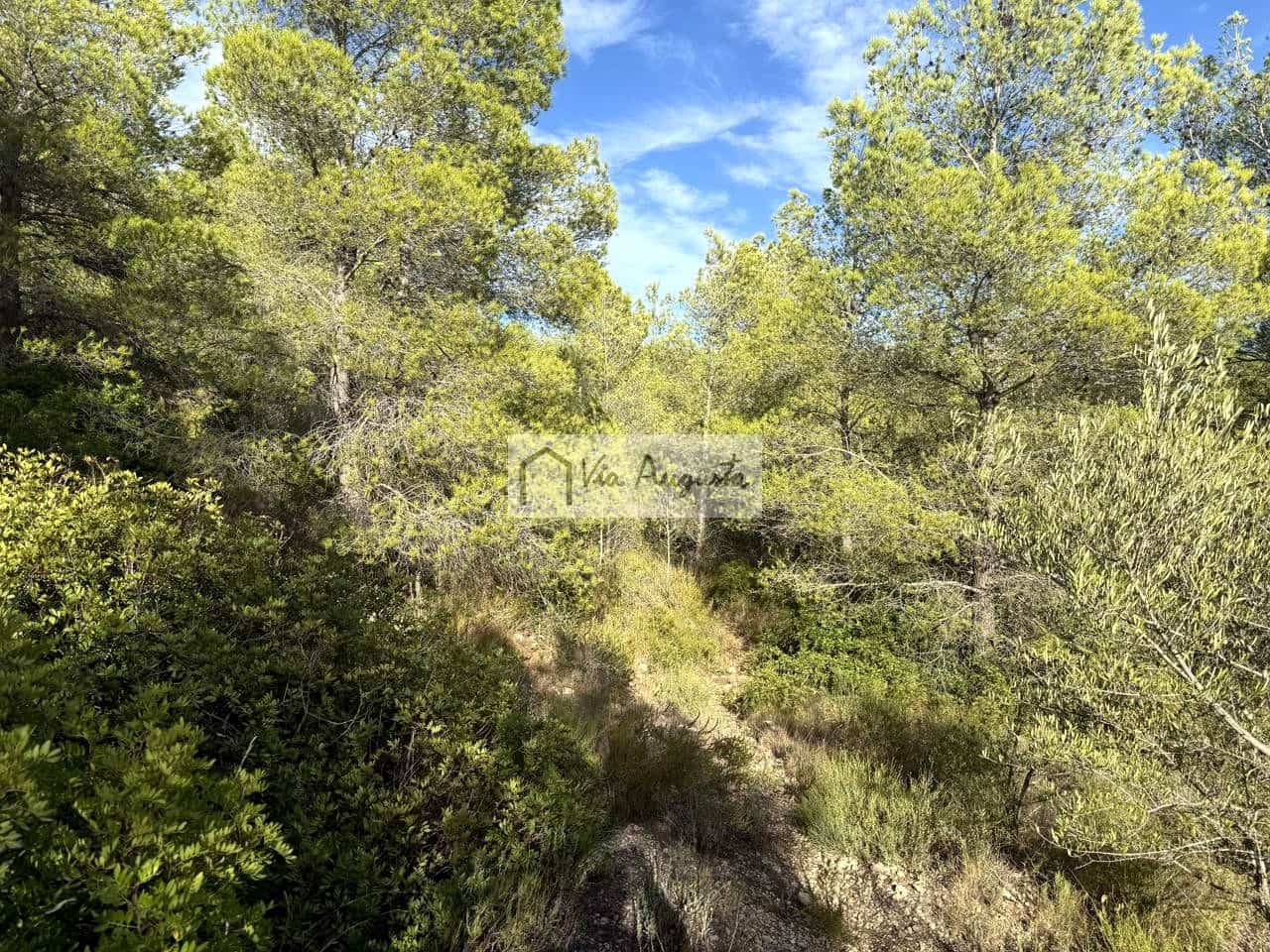 Mark till salu i El Perello - 65 000 € (Ref: 9268944)