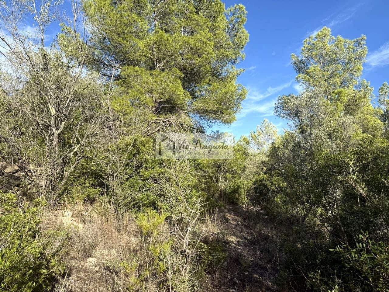 Mark till salu i El Perello - 65 000 € (Ref: 9268944)