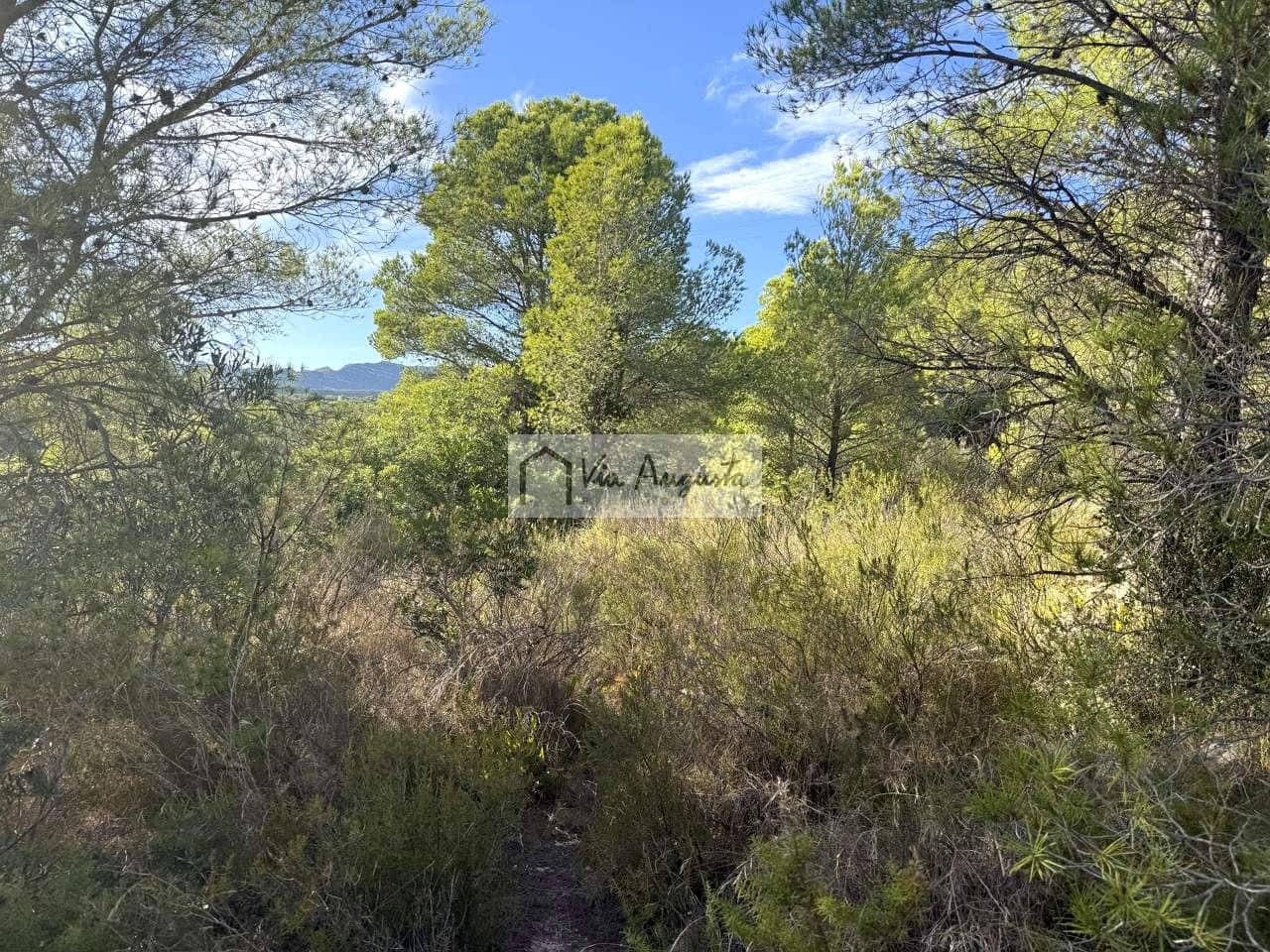 Mark till salu i El Perello - 65 000 € (Ref: 9268944)