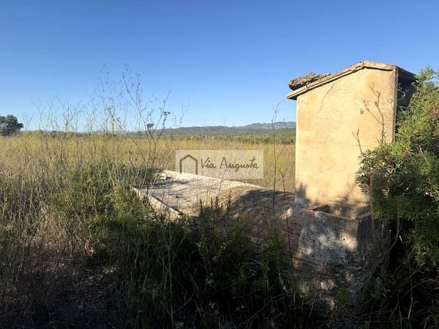 Terre non Aménagée à vendre à El Perelló - 8 000 € (Ref: 9313921)