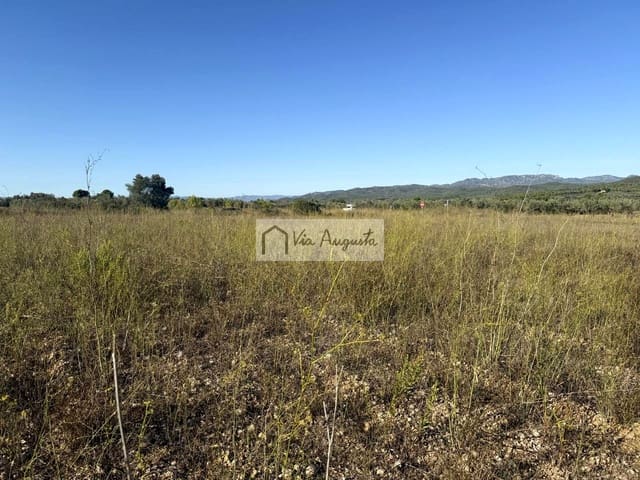 Terre non Aménagée à vendre à El Perelló - 8 000 € (Ref: 9313921)