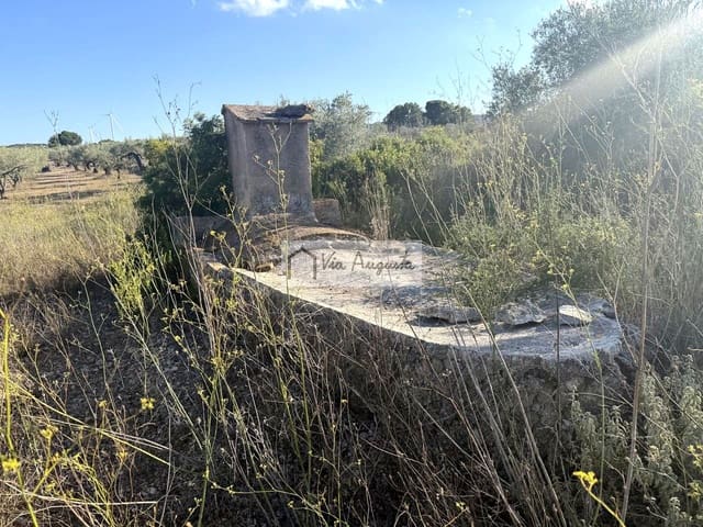 Terre non Aménagée à vendre à El Perelló - 8 000 € (Ref: 9313921)