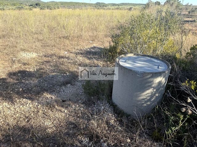 Terre non Aménagée à vendre à El Perelló - 8 000 € (Ref: 9313921)