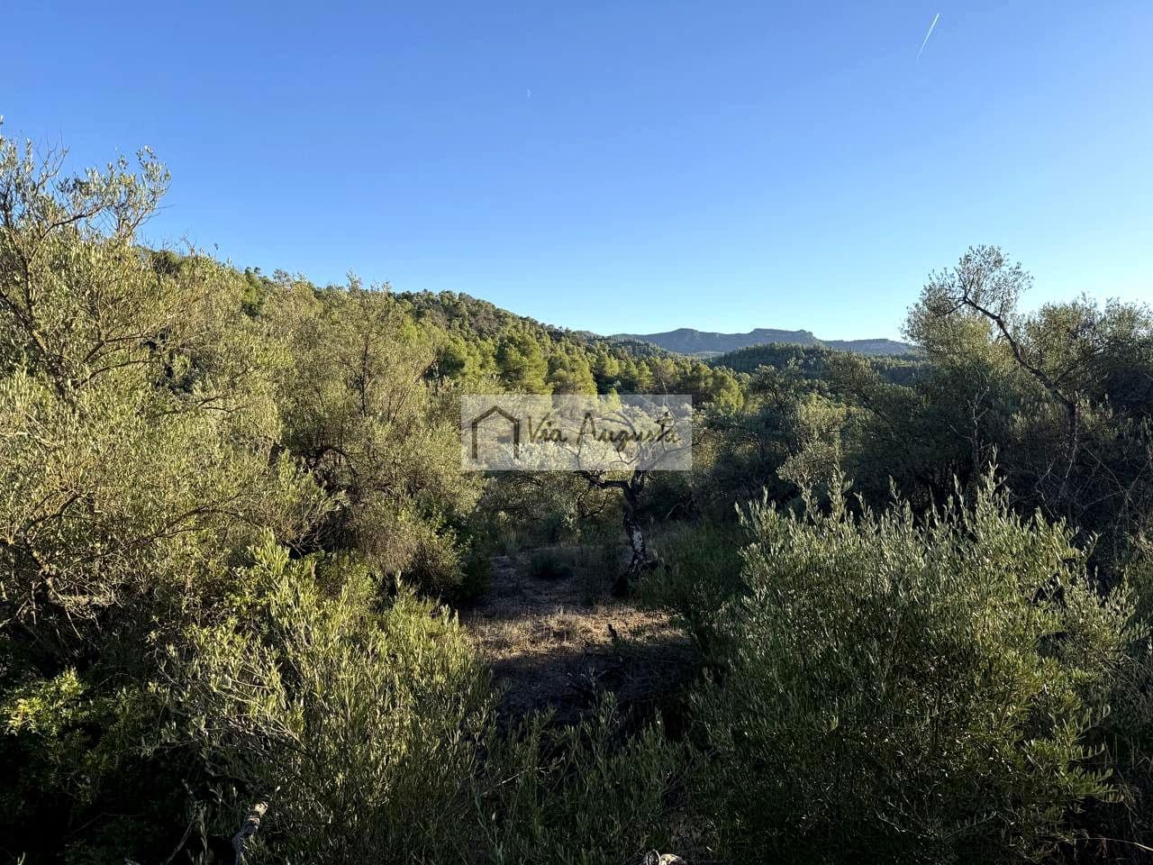 Grunde uden byggetilladelser til salg i La Torre de l'Espanyol - € 58.000 (Ref: 9360933)