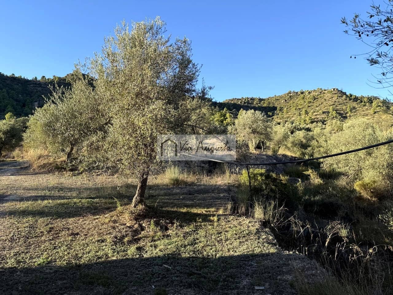 Grunde uden byggetilladelser til salg i La Torre de l'Espanyol - € 58.000 (Ref: 9360933)