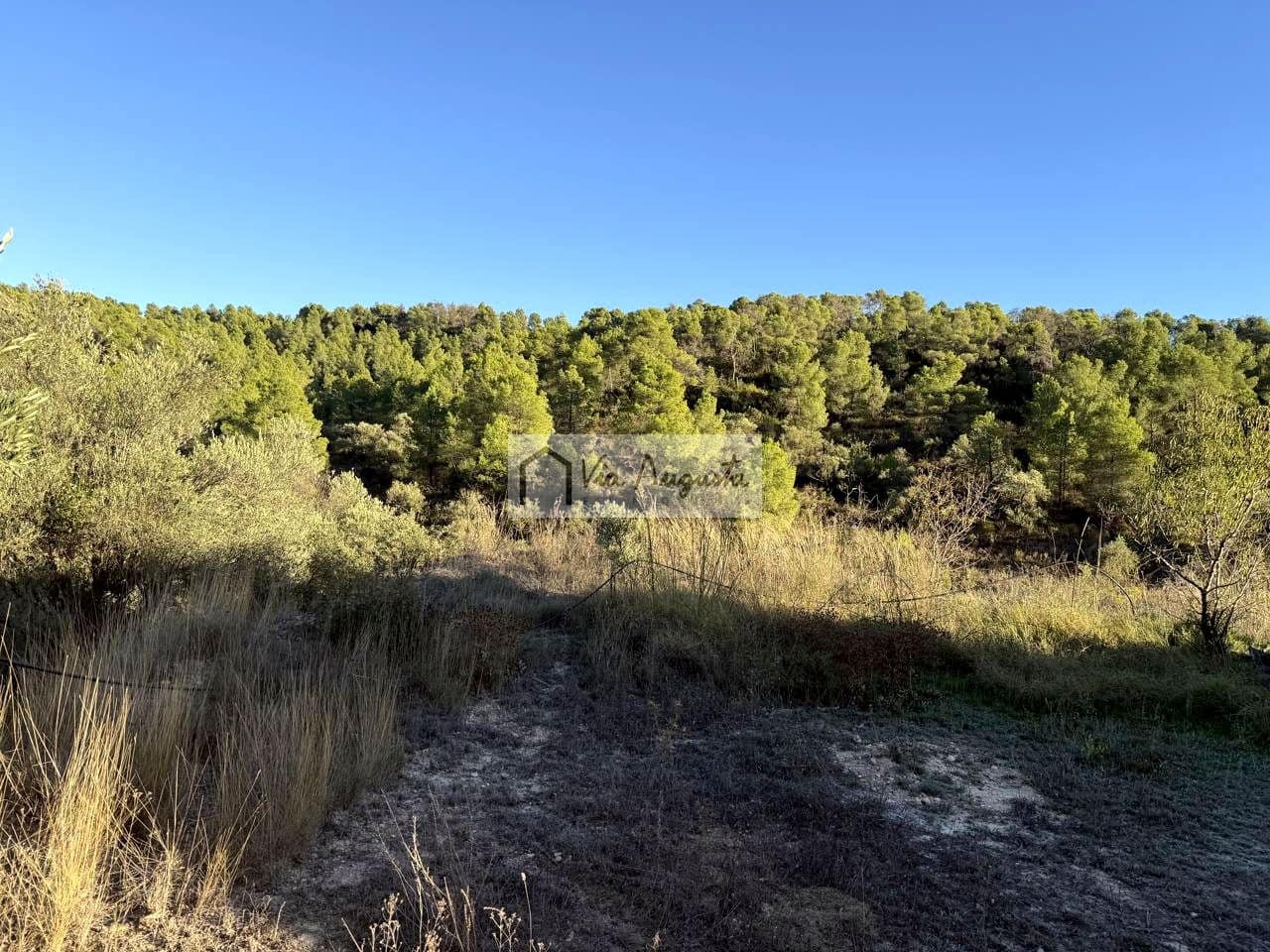 Grunde uden byggetilladelser til salg i La Torre de l'Espanyol - € 58.000 (Ref: 9360933)