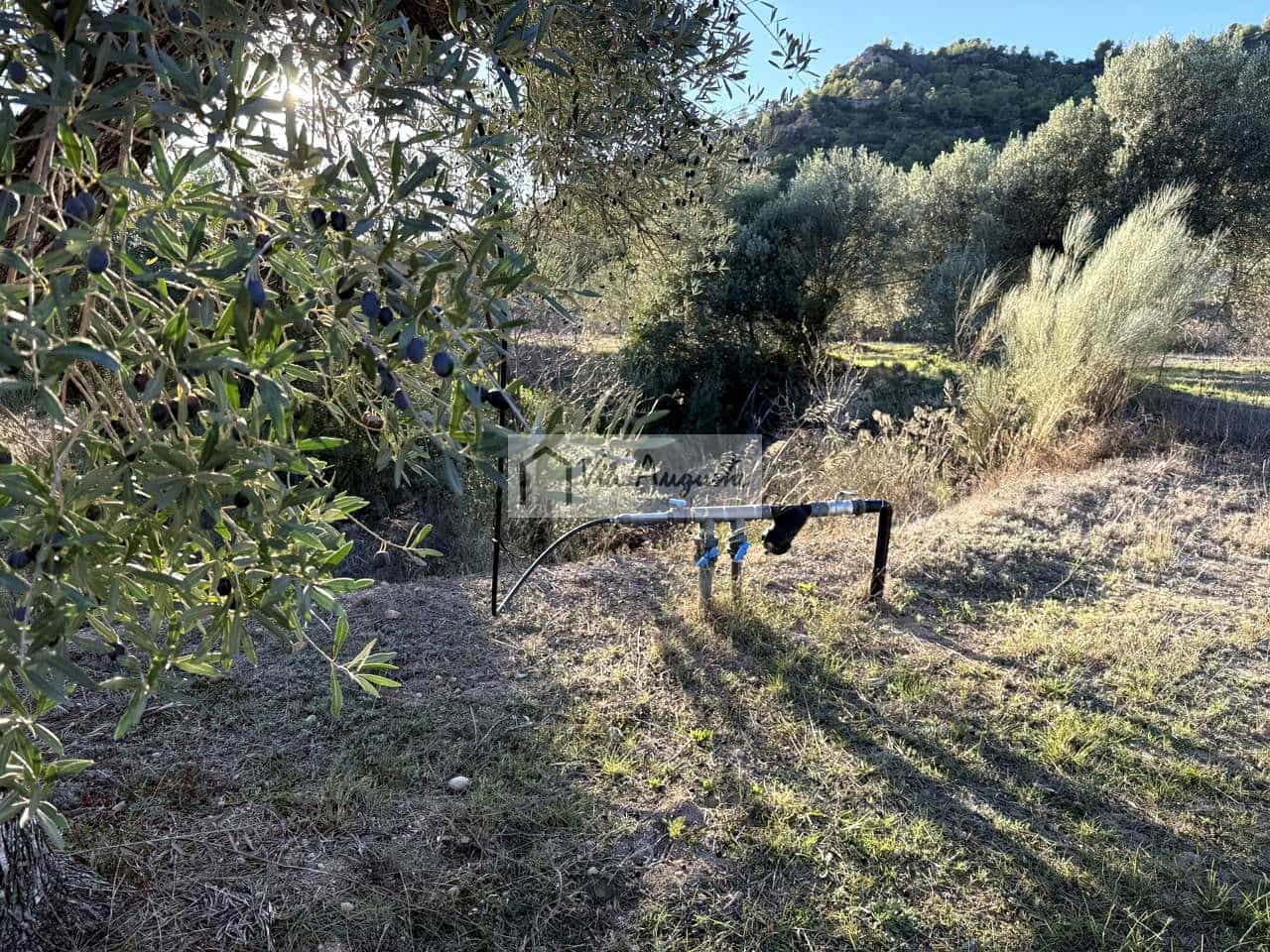 Grunde uden byggetilladelser til salg i La Torre de l'Espanyol - € 58.000 (Ref: 9360933)