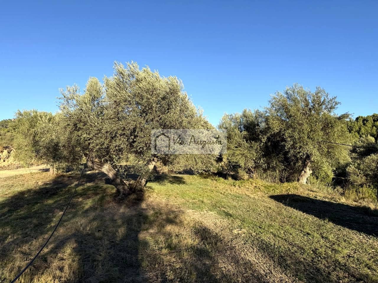 Grunde uden byggetilladelser til salg i La Torre de l'Espanyol - € 58.000 (Ref: 9360933)