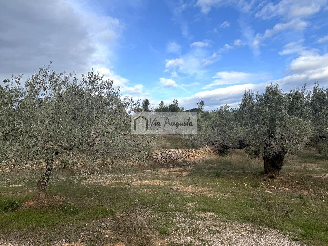 Rakentamaton maa myytävänä paikassa L'Ametlla de Mar - 189 000 € (Ref: 9413203)